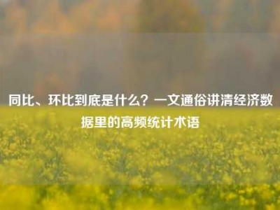 同比、环比到底是什么？一文通俗讲清经济数据里的高频统计术语