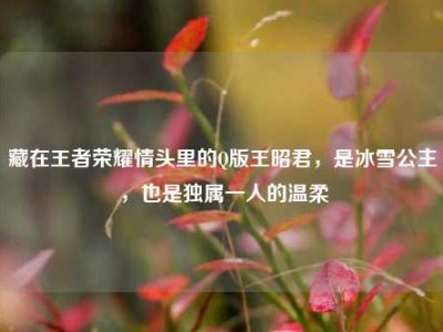 藏在王者荣耀情头里的Q版王昭君，是冰雪公主，也是独属一人的温柔