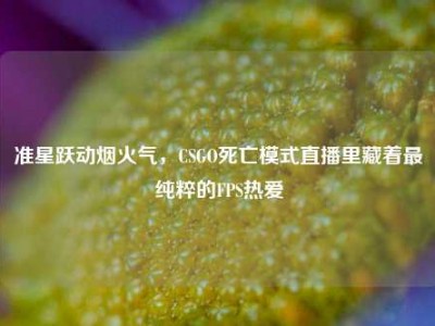 准星跃动烟火气，CSGO死亡模式直播里藏着最纯粹的FPS热爱