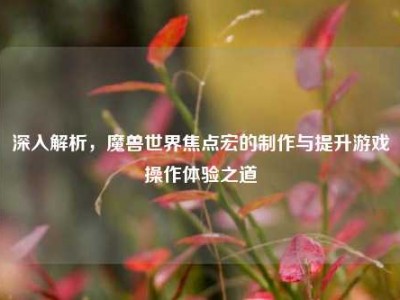 深入解析，魔兽世界焦点宏的制作与提升游戏操作体验之道