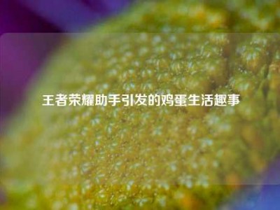 王者荣耀助手引发的鸡蛋生活趣事