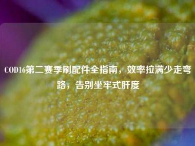 COD16第二赛季刷配件全指南，效率拉满少走弯路，告别坐牢式肝度