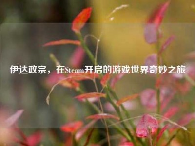 伊达政宗，在Steam开启的游戏世界奇妙之旅