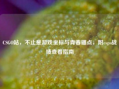 CSGO站，不止是游戏坐标与青春锚点，附csgo战绩查看指南