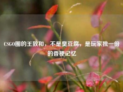 CSGO圈的王致和，不是臭豆腐，是玩家独一份的香梗记忆