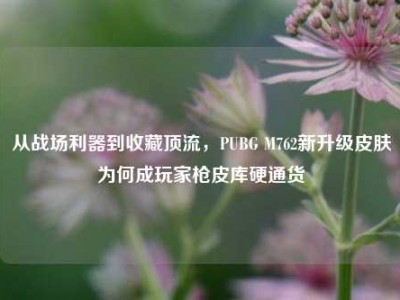 从战场利器到收藏顶流，PUBG M762新升级皮肤为何成玩家枪皮库硬通货