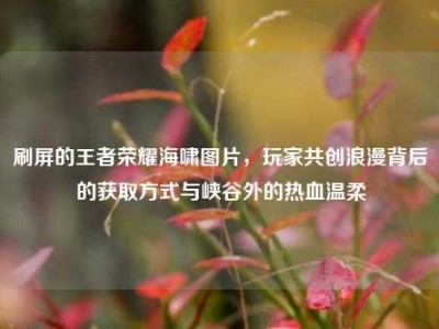 刷屏的王者荣耀海啸图片，玩家共创浪漫背后的获取方式与峡谷外的热血温柔