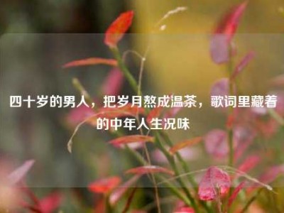 四十岁的男人，把岁月熬成温茶，歌词里藏着的中年人生况味