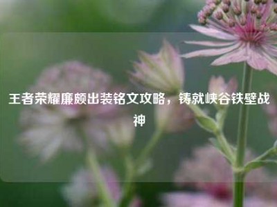 王者荣耀廉颇出装铭文攻略，铸就峡谷铁壁战神