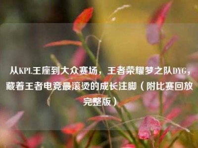 从KPL王座到大众赛场，王者荣耀梦之队DYG，藏着王者电竞最滚烫的成长注脚（附比赛回放完整版）