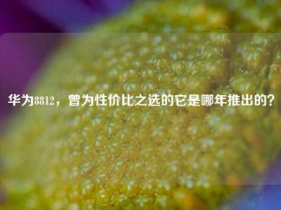 华为8812，曾为性价比之选的它是哪年推出的？