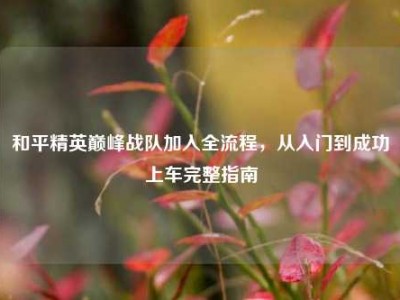 和平精英巅峰战队加入全流程，从入门到成功上车完整指南