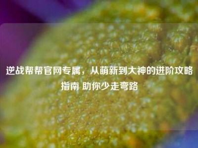 逆战帮帮官网专属，从萌新到大神的进阶攻略指南 助你少走弯路