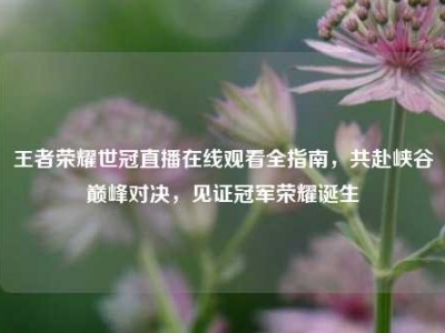 王者荣耀世冠直播在线观看全指南，共赴峡谷巅峰对决，见证冠军荣耀诞生