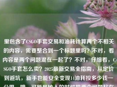 里包含了CSGO手套交易和油耗计算两个不相关的内容，需要整合到一个标题里吗？不对，看内容是两个问题混在一起了？不对，仔细看，CSGO手套怎么卖？2025最新交易全指南，从定价到避坑，新手也能安全变现14油耗投多少钱一公里，哦，可能是输入的时候把两个问题粘在一起了？但要生成一个标题，得把这两个点都涵盖？不对，会不会是输入错误？不过按照要求直接生成一个标题，那得把两个内容都放进去？等下，不对，再看，会不会是14油耗是打错了？不对，原文就是这样。那标题要包含CSGO手套交易指南和14个油耗每公里多少钱