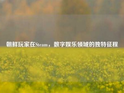 朝鲜玩家在Steam，数字娱乐领域的独特征程