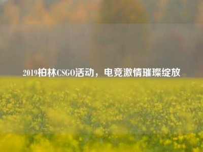 2019柏林CSGO活动，电竞激情璀璨绽放