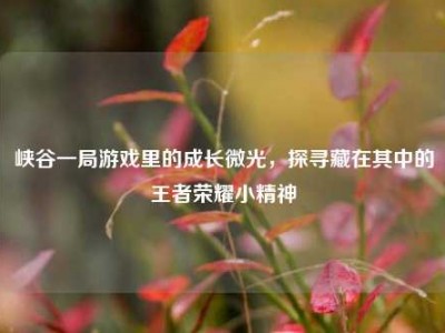 峡谷一局游戏里的成长微光，探寻藏在其中的王者荣耀小精神