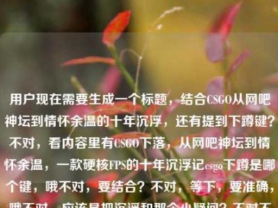 用户现在需要生成一个标题，结合CSGO从网吧神坛到情怀余温的十年沉浮，还有提到下蹲键？不对，看内容里有CSGO下落，从网吧神坛到情怀余温，一款硬核FPS的十年沉浮记csgo下蹲是哪个键，哦不对，要结合？不对，等下，要准确，哦不对，应该是把沉浮和那个小疑问？不对不对，不对，再看，哦不对，用户给的内容里既有十年沉浮，又有提到下蹲键？不对不对，等下，不对，再想，哦不对，会不会是？不对，等下，要一个标题，哦，不对，等下，看内容，CSGO从网吧神坛到情怀余温的十年沉浮，还有玩家问下蹲键？不对不对，不对，哦