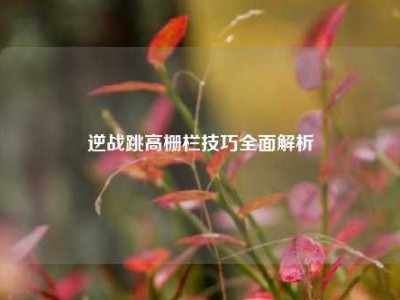 逆战跳高栅栏技巧全面解析