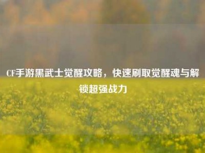 CF手游黑武士觉醒攻略，快速刷取觉醒魂与解锁超强战力