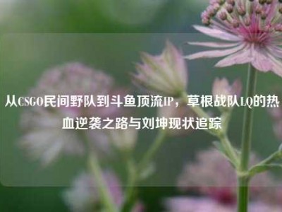 从CSGO民间野队到斗鱼顶流IP，草根战队LQ的热血逆袭之路与刘坤现状追踪