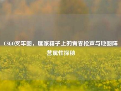 CSGO叉车图，匪家箱子上的青春枪声与地图阵营属性探秘