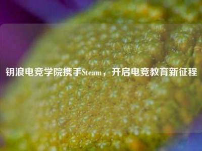 钥浪电竞学院携手Steam，开启电竞教育新征程