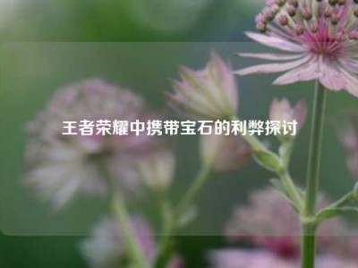 王者荣耀中携带宝石的利弊探讨