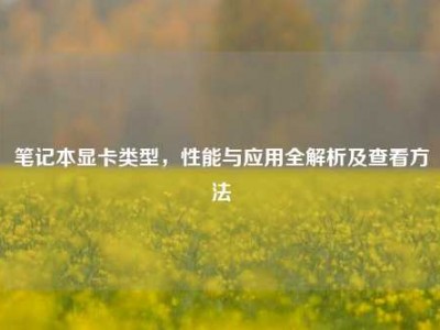 笔记本显卡类型，性能与应用全解析及查看方法