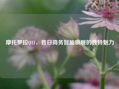 摩托罗拉Q11，昔日商务智能旗舰的独特魅力