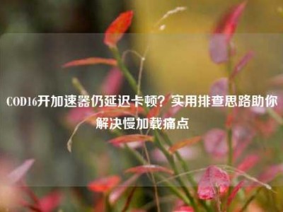 COD16开加速器仍延迟卡顿？实用排查思路助你解决慢加载痛点