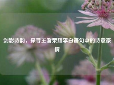 剑影诗韵，探寻王者荣耀李白语句中的诗意豪情