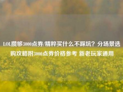 LOL攒够3000点券/精粹买什么不踩坑？分场景选购攻略附3000点券价格参考 新老玩家通用