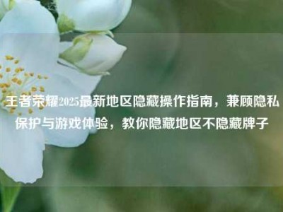 王者荣耀2025最新地区隐藏操作指南，兼顾隐私保护与游戏体验，教你隐藏地区不隐藏牌子