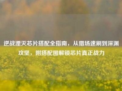 逆战湮灭芯片搭配全指南，从猎场速刷到深渊攻坚，附搭配图解锁芯片真正战力