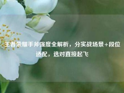 王者荣耀手斧强度全解析，分实战场景+段位适配，选对直接起飞