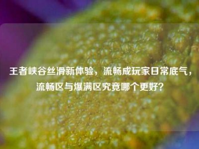 王者峡谷丝滑新体验，流畅成玩家日常底气，流畅区与爆满区究竟哪个更好？