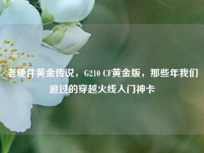 老硬件黄金传说，G210 CF黄金版，那些年我们追过的穿越火线入门神卡
