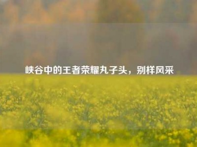 峡谷中的王者荣耀丸子头，别样风采