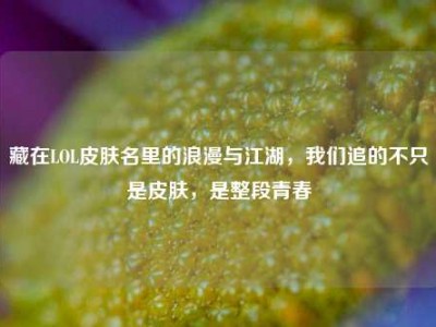 藏在LOL皮肤名里的浪漫与江湖，我们追的不只是皮肤，是整段青春