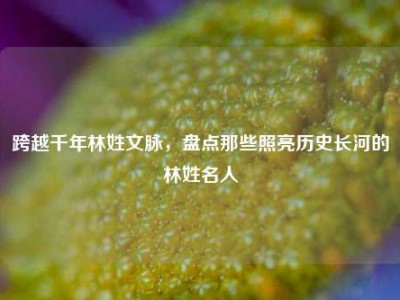 跨越千年林姓文脉，盘点那些照亮历史长河的林姓名人