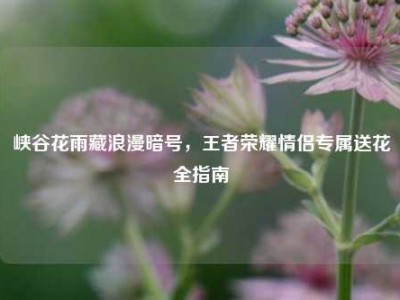 峡谷花雨藏浪漫暗号，王者荣耀情侣专属送花全指南