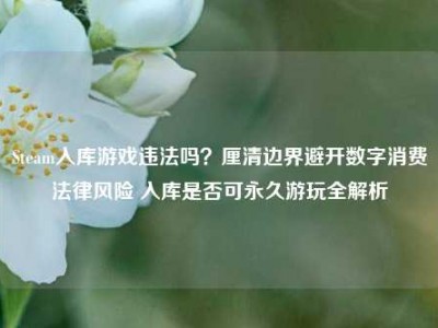 Steam入库游戏违法吗？厘清边界避开数字消费法律风险 入库是否可永久游玩全解析