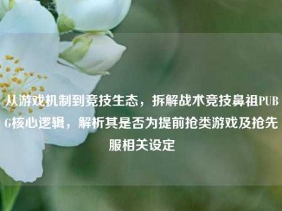 从游戏机制到竞技生态，拆解战术竞技鼻祖PUBG核心逻辑，解析其是否为提前抢类游戏及抢先服相关设定