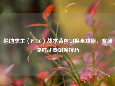 绝地求生（PUBG）战术背包切换全攻略，赛场决胜武器切换技巧