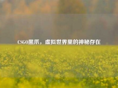 CSGO黑爪，虚拟世界里的神秘存在