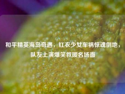 和平精英海岛奇遇，红衣少女车祸惊魂倒地，队友上演爆笑救援名场面