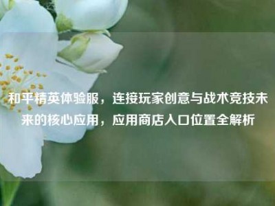 和平精英体验服，连接玩家创意与战术竞技未来的核心应用，应用商店入口位置全解析