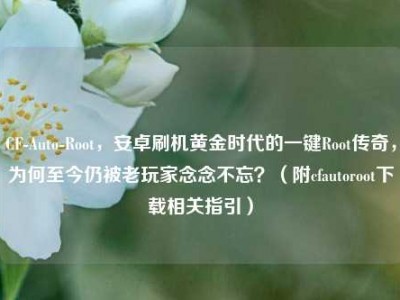 CF-Auto-Root，安卓刷机黄金时代的一键Root传奇，为何至今仍被老玩家念念不忘？（附cfautoroot下载相关指引）